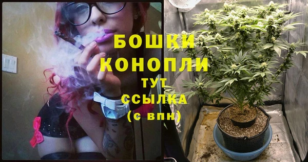 мяу мяу мука Богданович