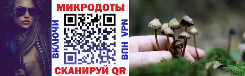 нарко площадка телеграм  ссылка на мегу   Мыски  Псилоцибиновые грибы прущие грибы 